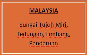 malaysia ftf.JPG